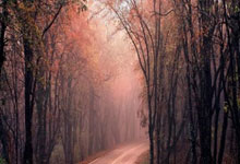 买卖股票的软件:股票开户需要哪些条件-东方财富财经早餐 8月20日周三